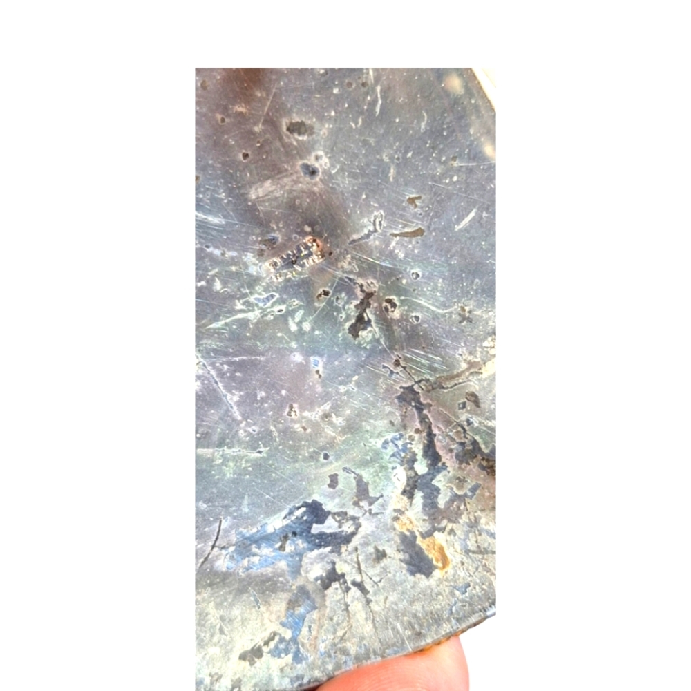 Belt Buckle - Picture 10 of 12